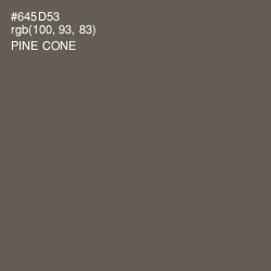 #645D53 - Pine Cone Color Image